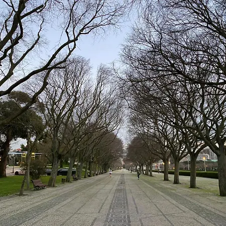 Bairro Azul Rum i privatbostad Lisboa